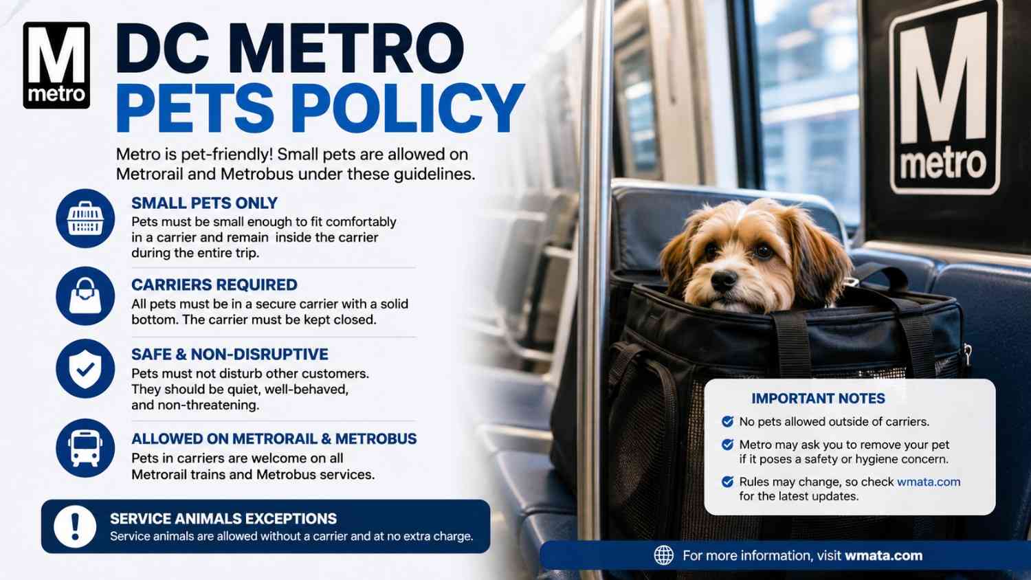 DC Metro Pets Policy